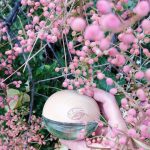 عطر ادکلن دی کی ان وای بی دیلیشز کوکونتز ابوت سامر داناکرن - DKNY Be Delicious Coconuts About Summer Donna Karan - بررسی، قیمت و خرید