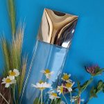 عطر ادکلن تریوث کلوین کلاین - Truth Calvin Klein - بررسی، قیمت و خرید