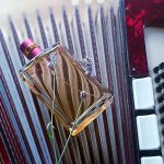 عطر ادکلن الور سنسول شانل - Allure Sensuelle Chanel - بررسی، قیمت و خرید