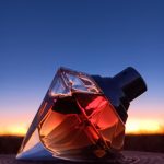 عطر ادکلن ویش چوپارد - Wish Chopard - بررسی، قیمت و خرید