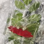 عطر ادکلن میرر بای کاوز کوم د گارسون - Mirror by Kaws Comme des Garcons - بررسی، قیمت و خرید
