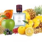 عطر ادکلن ایدن امبر کلاودیو زوکا پرفیومز - Eden Amber Claudio Zucca Parfums - بررسی، قیمت و خرید