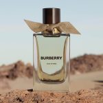 عطر ادکلن اود استورم بربری - Oud Storm Burberry - بررسی، قیمت و خرید