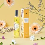 عطر ادکلن وارم میدو کلابو - Warm Meadow COLABO - بررسی، قیمت و خرید