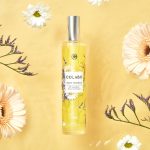 عطر ادکلن وارم میدو کلابو - Warm Meadow COLABO - بررسی، قیمت و خرید
