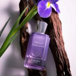 عطر ادکلن میدنایت سندلوود بویتاون - Midnight Sandalwood 午夜紫檀 Boitown 冰希黎 - بررسی، قیمت و خرید