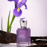 عطر ادکلن میدنایت سندلوود بویتاون - Midnight Sandalwood 午夜紫檀 Boitown 冰希黎 - بررسی، قیمت و خرید