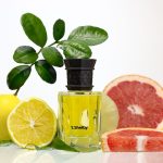 عطر ادکلن تی شلبی کالاج - T. Shelby Calaj - بررسی، قیمت و خرید