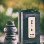 عطر ادکلن اودای ادی اله وان - Odaie - Vintage Potion Adi Ale Van - بررسی، قیمت و خرید