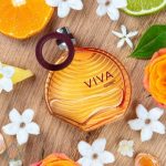 عطر ادکلن ویوا سایزون - Viva Cyzone - بررسی، قیمت و خرید