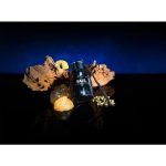 عطر ادکلن کلاس اکستریم فور من بالر - Class Extreme For Men BALR. - بررسی، قیمت و خرید