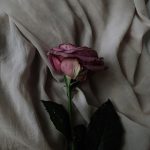 عطر ادکلن سلطان نوآر دو حنین - Sultan Noir II Hunayn - بررسی، قیمت و خرید