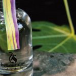 عطر ادکلن اَل اُمبغِ دو فیگوییِر بیسومین - A L'Ombre du Figuier Bissoumine - بررسی، قیمت و خرید