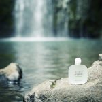 عطر ادکلن اکوا دی جیویا ادو تویلت جورجیو آرمانی - Acqua di Gioia Eau de Toilette Giorgio Armani - بررسی، قیمت و خرید