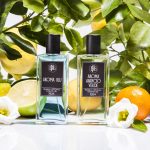 عطر ادکلن آروما بلو دی‌اف‌جی‌هزارونهصدوبیست‌چهار - Aroma Blu DFG1924 - بررسی، قیمت و خرید
