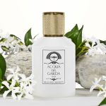 عطر ادکلن جلسمینو اسولوتو آکوا دل گاردا - Gelsomino Assoluto Acqua del Garda - بررسی، قیمت و خرید