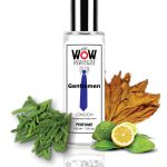 عطر ادکلن جاست واو جنتلمن کرواتین پرفیوم هاوس - Just Wow Gentlemen Croatian Perfume House - بررسی، قیمت و خرید