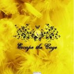 عطر ادکلن توییتی آکولینا - Tweety Aquolina - بررسی، قیمت و خرید