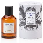 عطر ادکلن برگاموت اند امبروود بلو سنتس - Bergamot & Amberwood Blue Scents - بررسی، قیمت و خرید