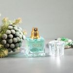 عطر ادکلن دیلیس کلاسیک کالکشن نامبر ۴۲ دیلیس پرفیوم - Dilis Classic Collection No. 42 Dilís Parfum - بررسی، قیمت و خرید