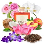 عطر ادکلن گواناکو گرهم اند پات - Guanaco GRAHAM & POTT - بررسی، قیمت و خرید