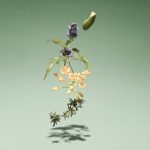 عطر ادکلن وایلد مدو بمفورد - Wild Meadow Bamford - بررسی، قیمت و خرید