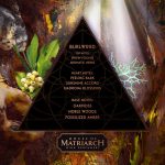 عطر ادکلن بُرل‌وود هاوس آف ماتریارک - Burlwood House of Matriarch - بررسی، قیمت و خرید