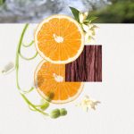 عطر ادکلن اومیزو فور هر آناياکه - Omizu For Her Annayake - بررسی، قیمت و خرید
