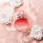 عطر ادکلن کالرز دی بنتون وومن رز اینتنسو بنتون - Colors de Benetton Woman Rose Intenso Benetton - بررسی، قیمت و خرید