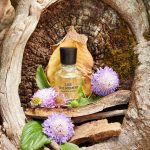 عطر ادکلن لایو د مومنت داگلاس - Live The Moment Douglas - بررسی، قیمت و خرید
