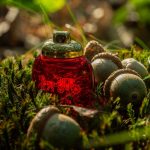 عطر ادکلن کوچ لاو او د پرفیوم کوچ - Coach Love Eau de Parfum Coach - بررسی، قیمت و خرید