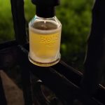 عطر ادکلن سوشی ایمپریال بویس 1920 - Sushi Imperiale Bois 1920 - بررسی، قیمت و خرید