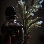 عطر ادکلن مک‌کویین او دو پرفیوم الکساندر مک‌کوئین - McQueen Eau de Parfum Alexander McQueen - بررسی، قیمت و خرید