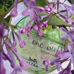 عطر ادکلن وان ویش دزینتارس - One Wish Dzintars - بررسی، قیمت و خرید
