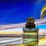 عطر ادکلن گوچی بای گوچی اسپرت گوچی - Gucci by Gucci Sport Gucci - بررسی، قیمت و خرید