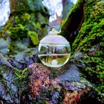 عطر ادکلن نوا کاچارل - Noa Cacharel - بررسی، قیمت و خرید