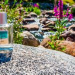 عطر ادکلن کِلین کلاسیک بیچ وایبز کلین - Clean Classic Beach Vibes Clean - بررسی، قیمت و خرید