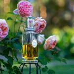 عطر ادکلن نیمز کوآ پارفوم کارن - N'Aimez Que Moi Parfum Caron - بررسی، قیمت و خرید