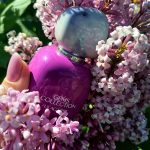 عطر ادکلن لایلاک میست بروکارد - Lilac Mist Brocard - بررسی، قیمت و خرید