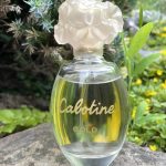 عطر ادکلن کبوتین گلد گرس - Cabotine Gold Grès - بررسی، قیمت و خرید