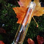 عطر ادکلن جنی نوآر جنی - Genny Noir Genny - بررسی، قیمت و خرید