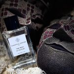 عطر ادکلن ذ موزیک اسنشیال پرفیومز - The Musc Essential Parfums - بررسی، قیمت و خرید