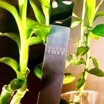 عطر ادکلن گوچی انوی او دو پرفیوم گوچی - Gucci Envy Eau de Parfum Gucci - بررسی، قیمت و خرید