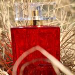 عطر ادکلن رد دور الیزابت آردن - Red Door Elizabeth Arden - بررسی، قیمت و خرید