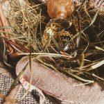 عطر ادکلن کبوتین گلد گرس - Cabotine Gold Grès - بررسی، قیمت و خرید