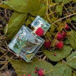 عطر ادکلن آی ام آیزنبرگ - I Am Eisenberg - بررسی، قیمت و خرید