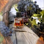 عطر ادکلن تر د سارمان فرپین - Terre de Sarment Frapin - بررسی، قیمت و خرید