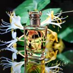 عطر ادکلن ل کرآسیون دو مانسیور دیور دیورلا دیور - Les Creations de Monsieur Dior Diorella Dior - بررسی، قیمت و خرید