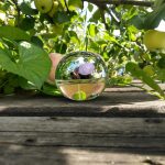 عطر ادکلن دی کی ان وای بی هاندرد درصد دلیشِس دونا کارن - DKNY Be 100% Delicious Donna Karan - بررسی، قیمت و خرید