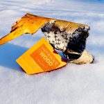 عطر ادکلن اینتنس هی وود دی اس کوارد - Intense He Wood DSQUARED² - بررسی، قیمت و خرید